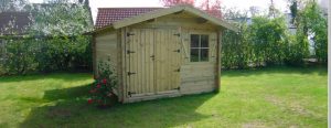 Abri de jardin en bois avec porte, fenêtre et arbuste.